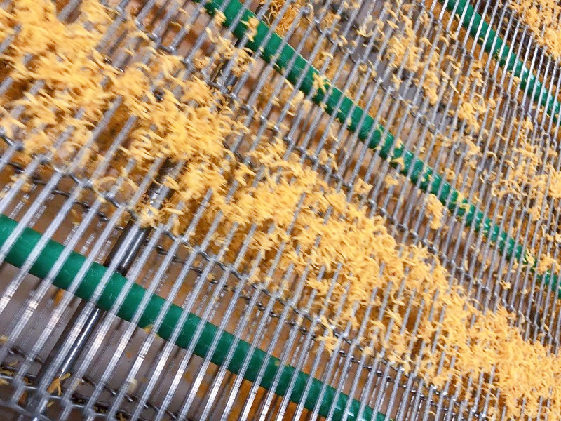 速冻输送带加工案例
